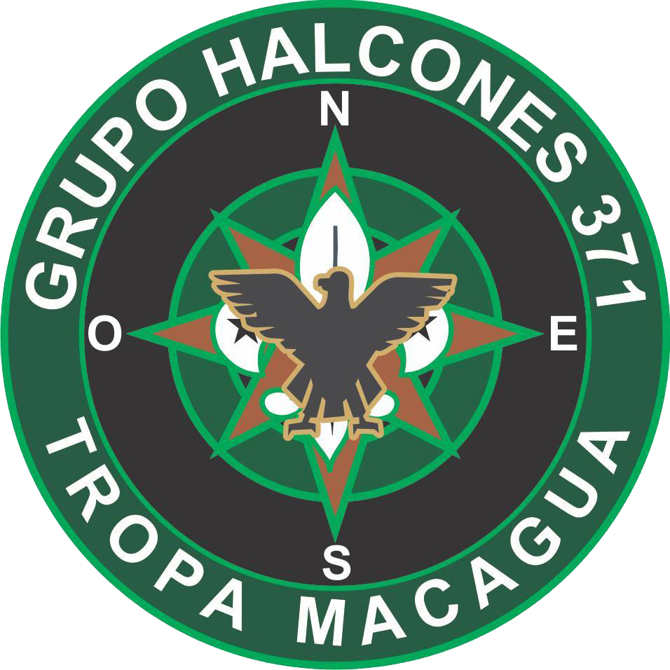 Logo de la tropa Macagua 371