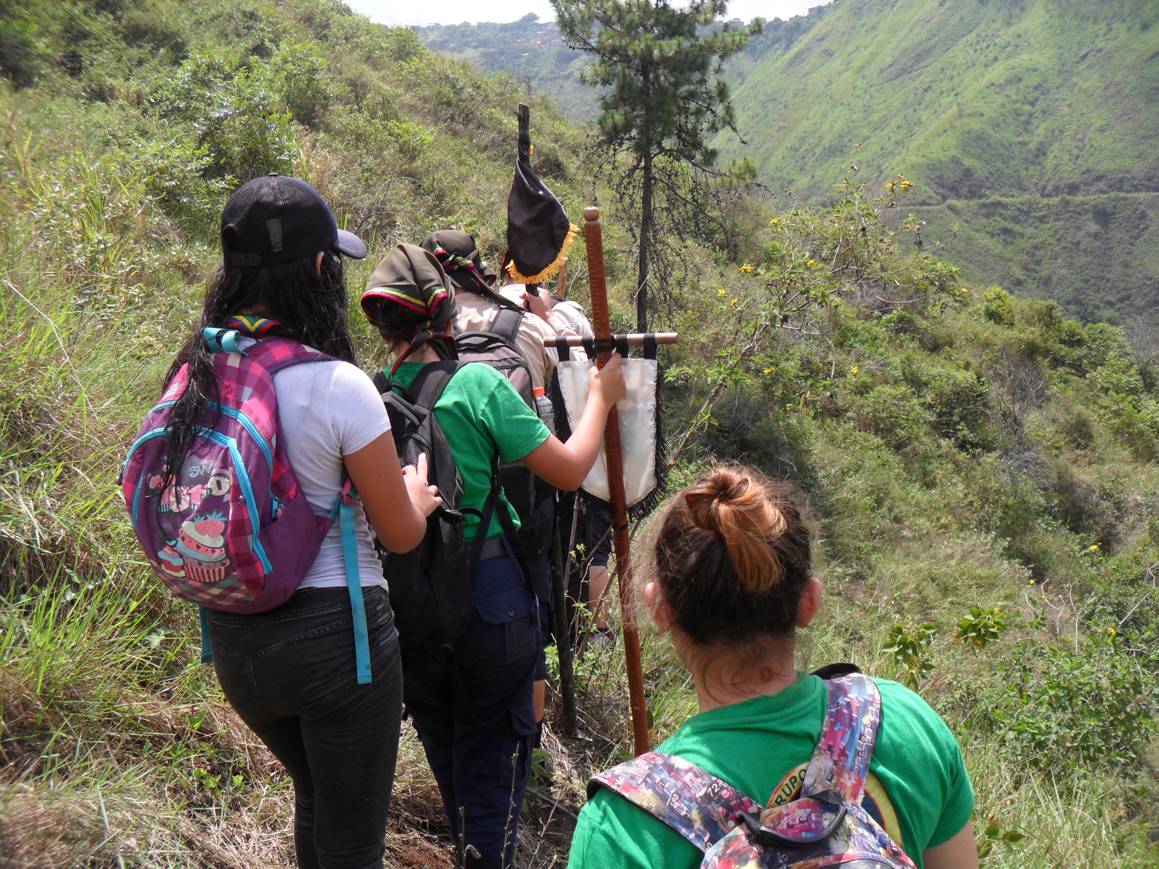 Imagen de Scouts explorando